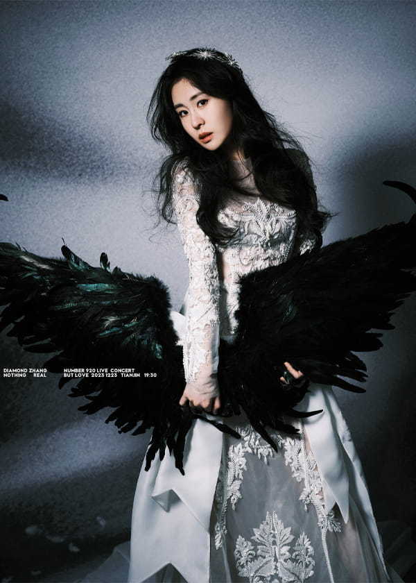 张碧晨尾号920演唱会图片17