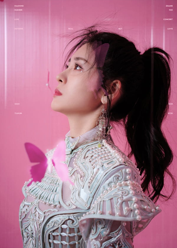 张碧晨尾号920演唱会图片18