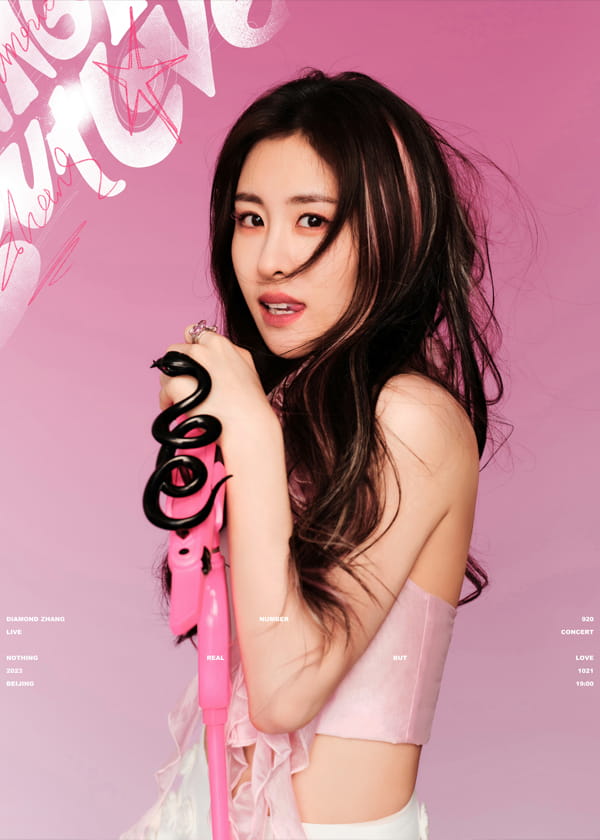 张碧晨尾号920演唱会图片8